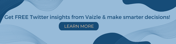 get twitter insights from vaizle 