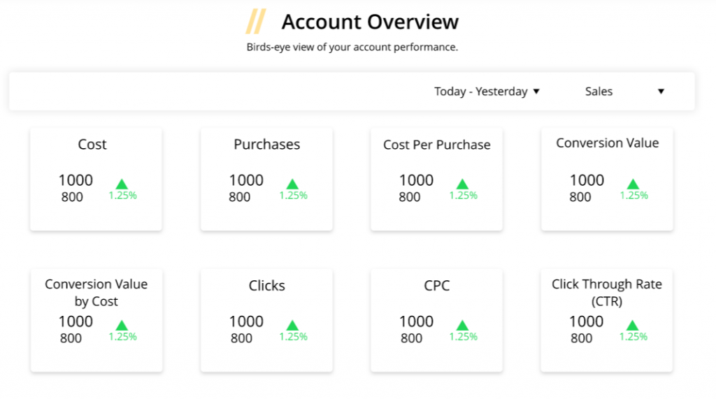 account overview of google ads on vaizle 