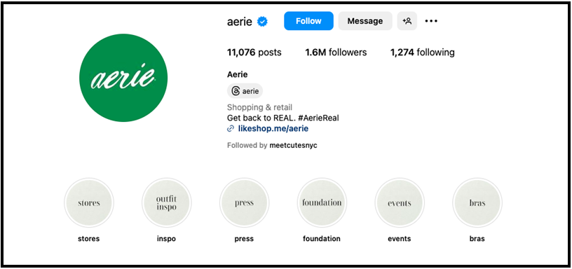 Instagram profile of brand Aerie