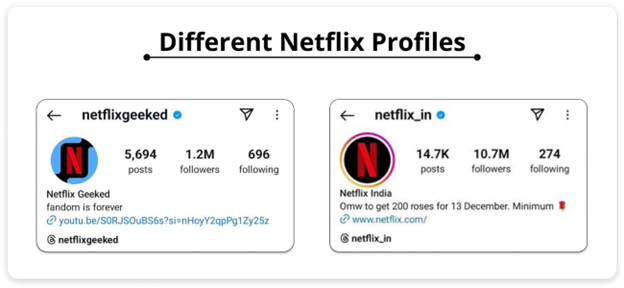 Screenshot of different Netflix profiles