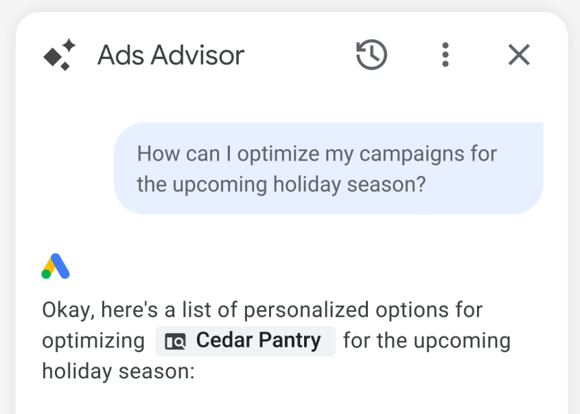 Google Ads advisor
